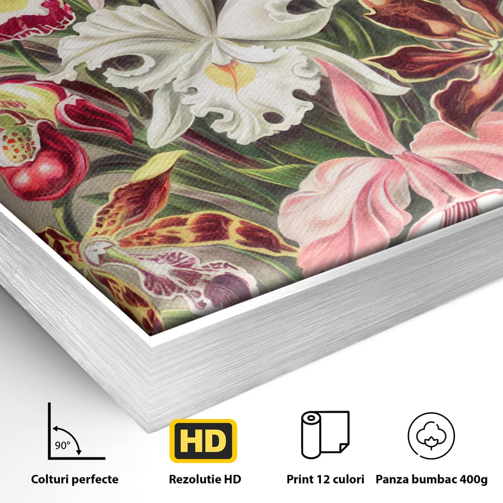 Detaliu al suprafetei: ilustratie botanica cu orhidee multicolore, in rama de aluminiu argintiu